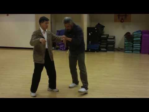 8-Energy 5 Steps 13 Postures, Part 2,  八門五步 十三勢