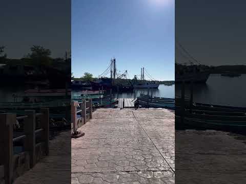 Usulutan en la Bahía de Puerto el triunfo #shorts