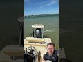 Insane Ray Dodges Shark Attack