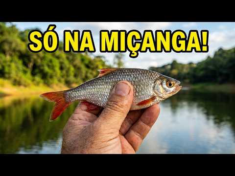 PESCARIA DE LAMBARI NA MIÇANGUINHA: O segredo para encher o balde! 🎣