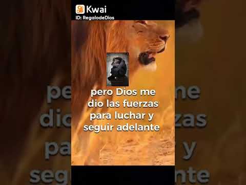 TRAIGO ESCUELA DE LA VIDA Y RESPALDO DEL DE ARRIBA😎