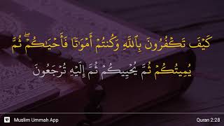 Download lagu Al-Baqarah ayat 28 mp3