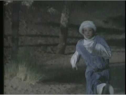 BlackStallionReturns30