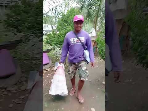 Parating na Asawamoii DaLii 🤦😱| FLIPPA URCHIN #flippa #minivlog #shortvideo #short