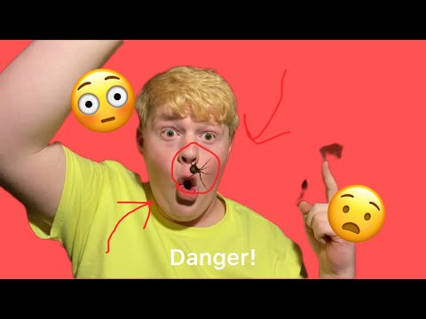 BLACK WIDOW CARE GUIDE!!!! 😳🙀