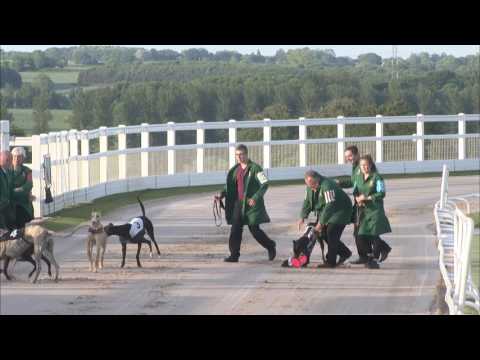 2017 STAR SPORTS DERBY - ROUND 1 HEAT 1  - T6 MURRYS ACT