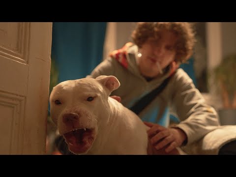 sad stunner and kazama