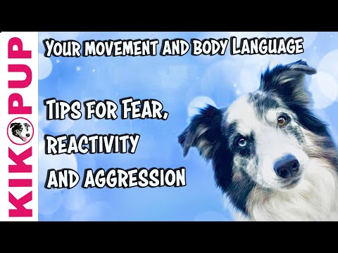 STOP UNWANTED behaviors with BACK UP