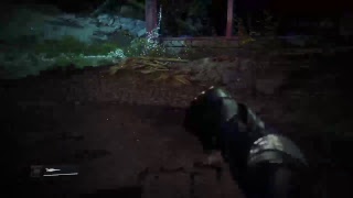 How to do your emotes on your sparrow