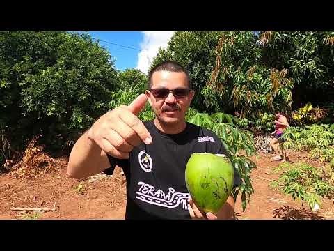 Visitando o amigo Nildo Felisberto em Taquarana-Al ( Viagem ao Nordeste 2022 )