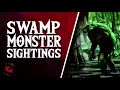 CREATURES OF THE SWAMP HORRIFYING STORIES OF SWAMP CREATURE SIGHTINGS What Lurks Beneath