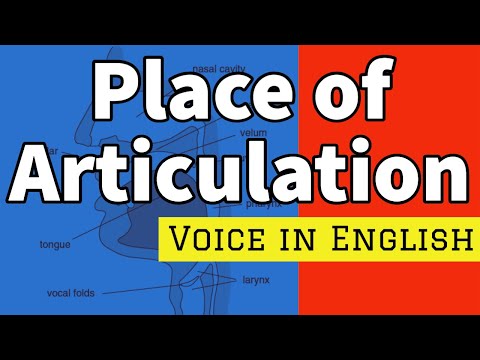 PLACE OF ARTICULATION | Phonetics | The Sounds of Language | The Study of Language | [ ENGLISH ]