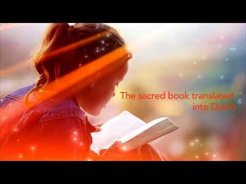 Dutch Bible DSV