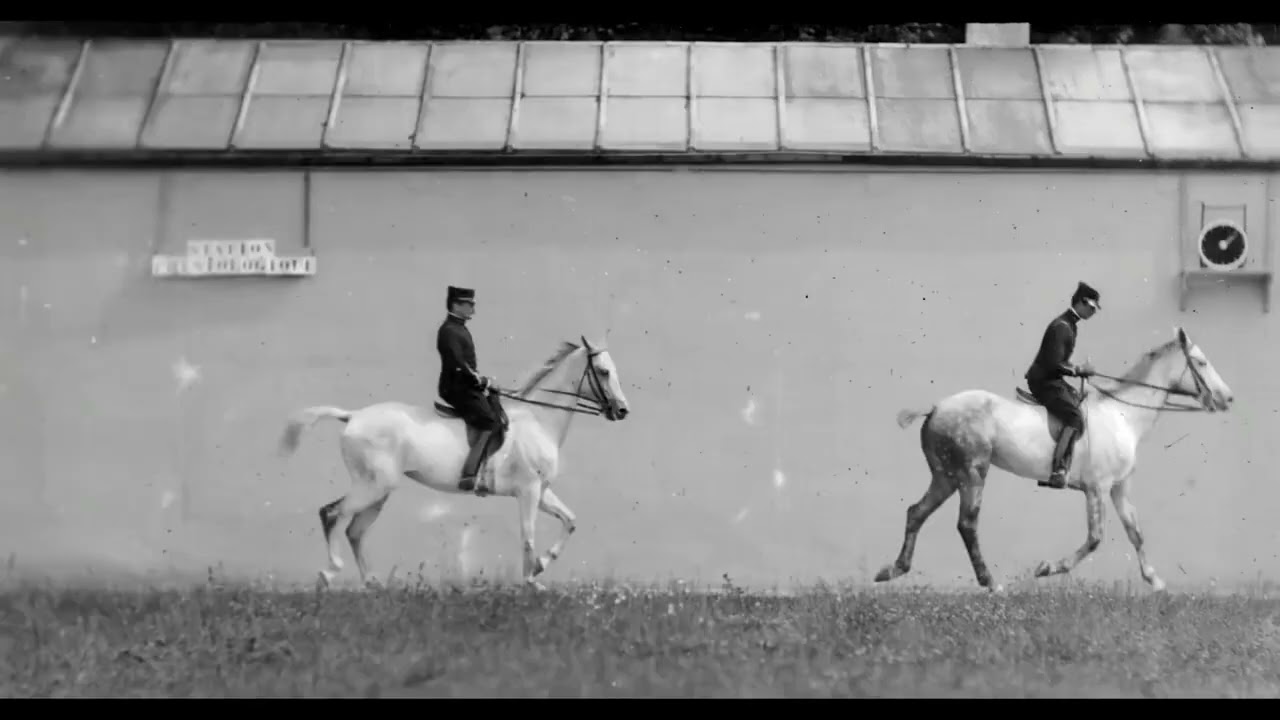 CHEVAL MONTE, DEUX CHEVAUX BASIS SE SUIVANT AU PAS 1899 Silent film Étienne Jules Marey
