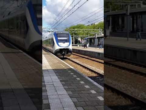 NS Type S70 2450 EMU arriving at Dordrecht Station on 23/6/15 #Shorts
