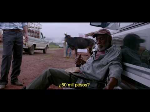 Trailer de Mr. Pig — Sr. Pig subtitulado en español (HD)