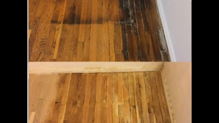 How to remove pet urine stains from wood floors GUARANTEED