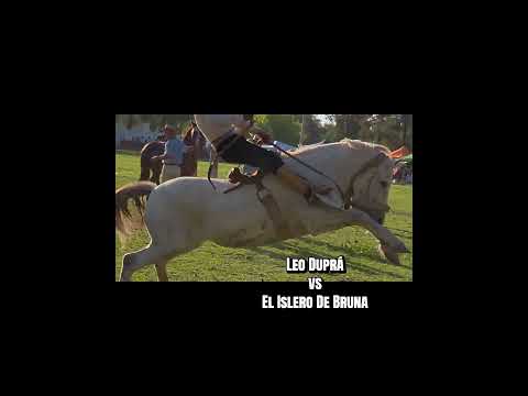 Leo Duprá Vs El Islero, Pozo Borrado-Santa Fe