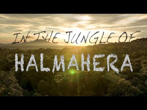 Halmahera Cinematic Drone Reel