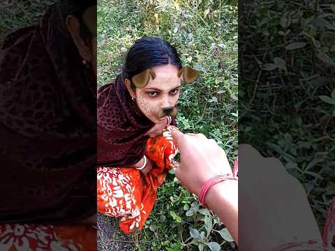 Niki is the most celebrity chihuahua in the world🤣🤣🤣🤣🤣