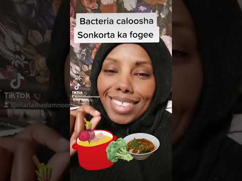 bacteria caloosha sonkorta ka fogee