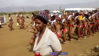 Swaziland: virgin girls entertaining king Mswati I