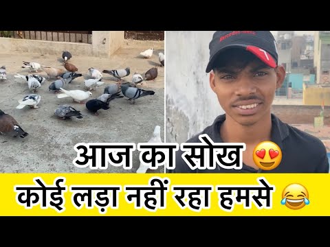 No soldier attacked the pigeons 😂