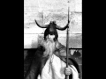 Tree trail (moondog).wmv