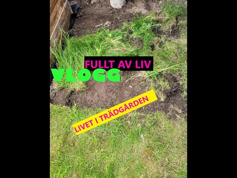 TRÄDGÅRDSVLOGG FRÅN MAJ☀️MÅNAD