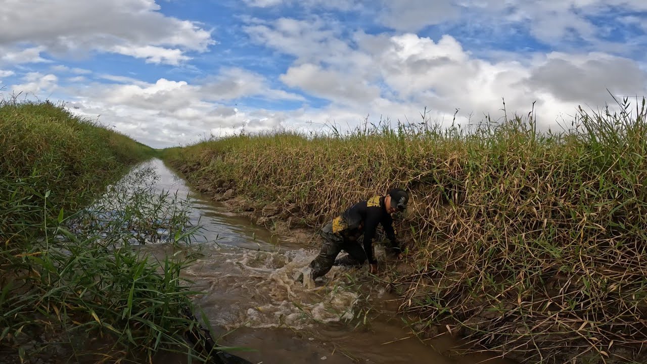 LARGUEI O PENEIRÃO E SAIR CORRENDO FOI O JEITO!