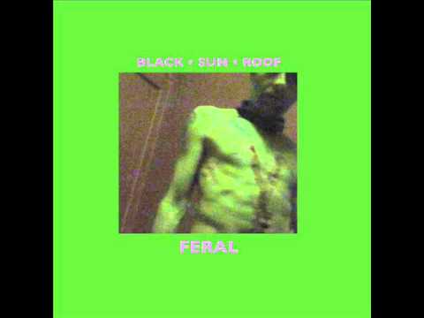 Black Sun Roof - Son Of The Blue Wolf