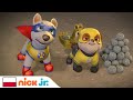 Psi Patrol Psi Patrol łączy Siły Z Ulubionymi Bohaterami Nick Jr