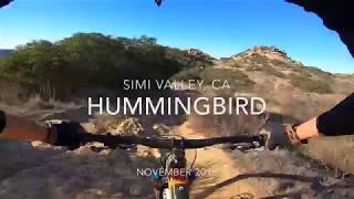Hummingbird DH - Simi Valley, CA