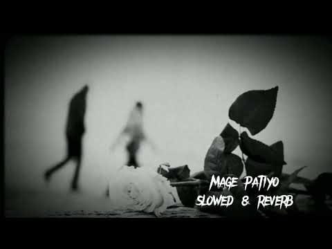 Mage patiyo | slowed & reverb  #magepatiyo #music #slowedandreverb #ruwani