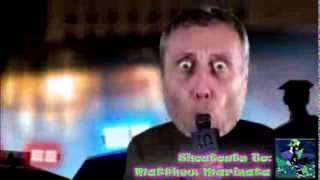 256PiAlternate 300-Sub Special