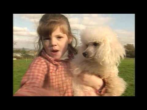 Teletubbies   Parte 4 Em Português