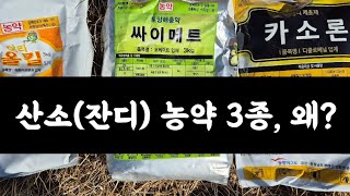 산소(잔디)