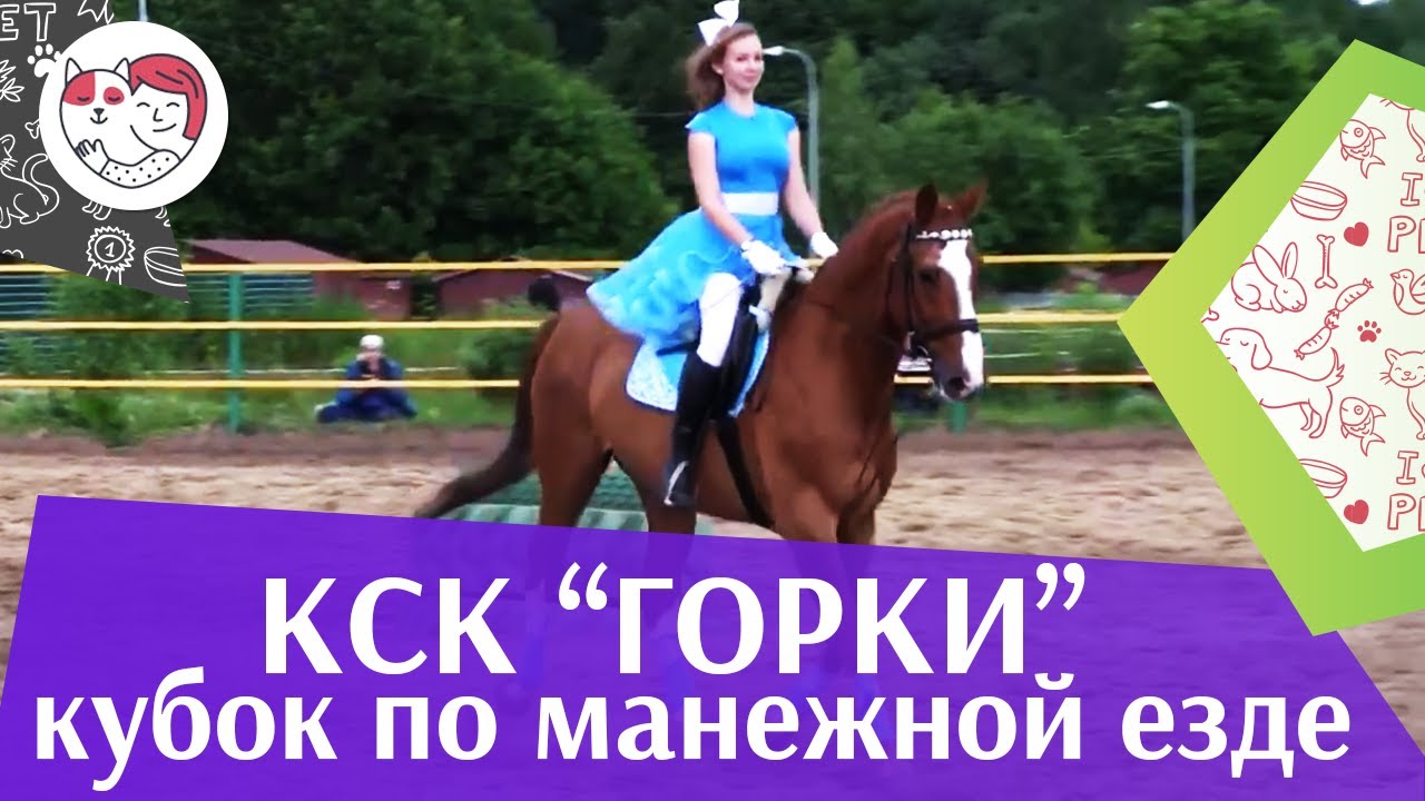 Летний кубок КСК Горки по манежной езде КЮР часть 29 на ilikepet