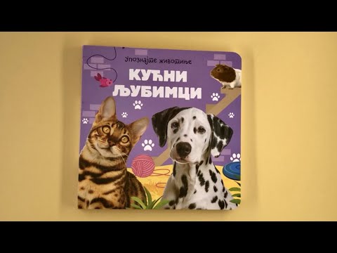 Upoznajte životinje: Kućni ljubimci