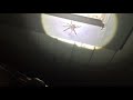 Mom Farts On Camera And Blames Barking Spiders