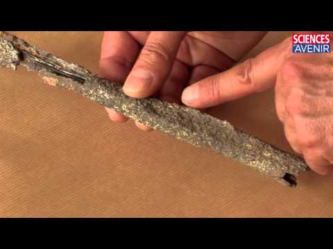 ARCHÉOLOGIE. Une étrange anomalie sur l'os de l'Homme de Tourville