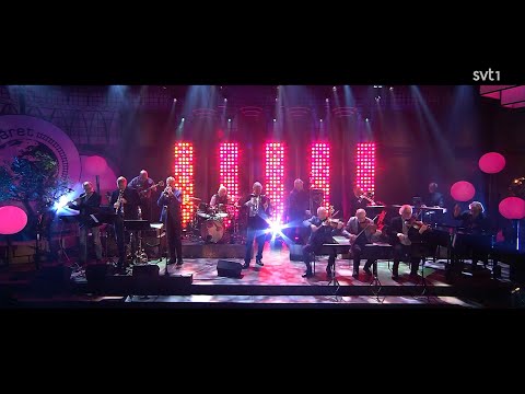 Benny Anderssons Orkester - Libertango | Live "På Spåret" 2023