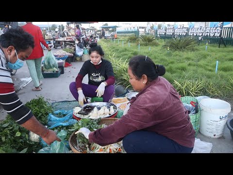 Cambodia Market Tour in 2021, Fresh food review in morning at Prek Pnov Market