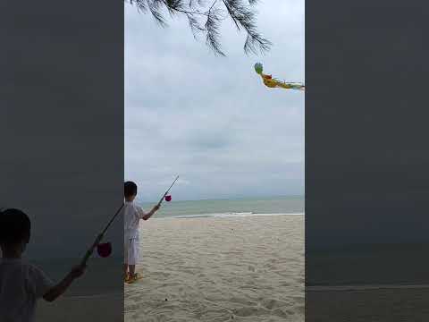 Playing kite at Teluk cempedak #sigmaboy #beach #26.1.2025 #kids #kuantan
