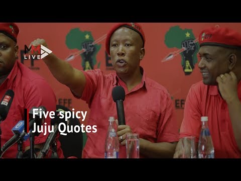 Five spicy Malema quotes in lead up to December's EFF conference