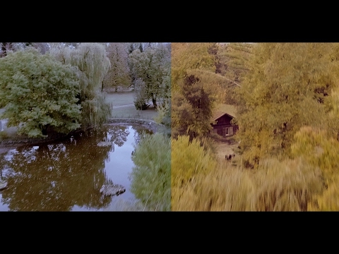 DJI D-Log color grading  BG Drone