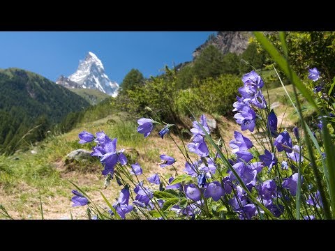 download lagu mp3 mp4 Music Of The Swiss Alps, download mp3 Music Of The Swiss Alps free download mp3, download mp3 Music Of The Swiss Alps