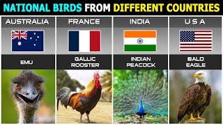 National Birds From Different Countries