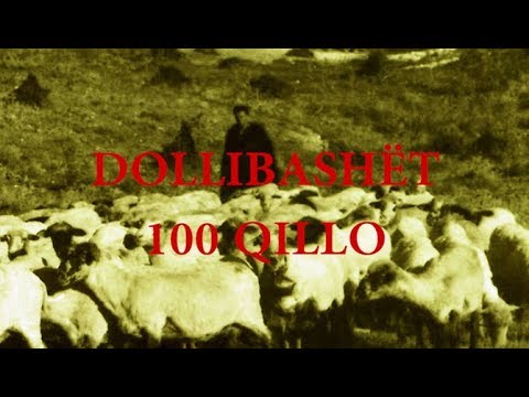 Dollibashët - 100 Qillo | NGOP.TV