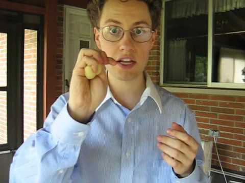 Learn how to do a sponge ball magic trick